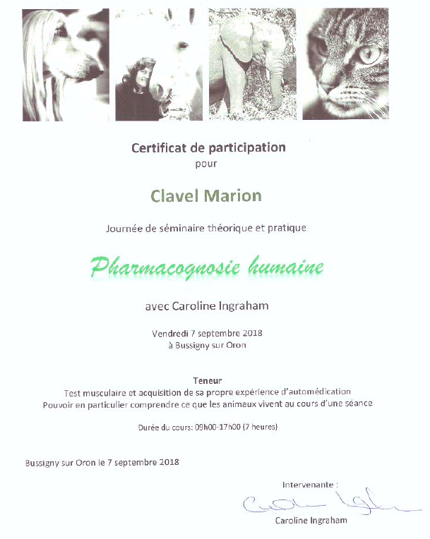 Formation aromatherapie humaine marion clavel